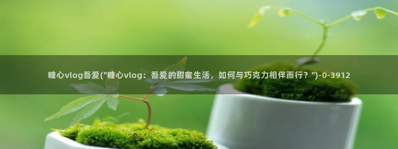 糖心vlog版污下载