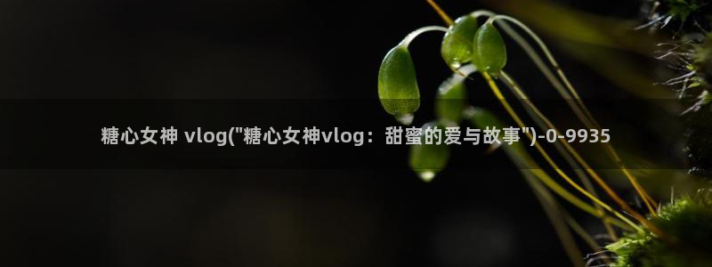 糖心vlog精品