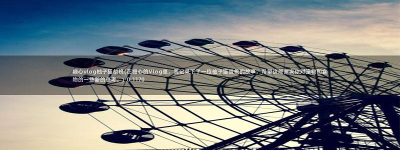 多己糖心在线vlog