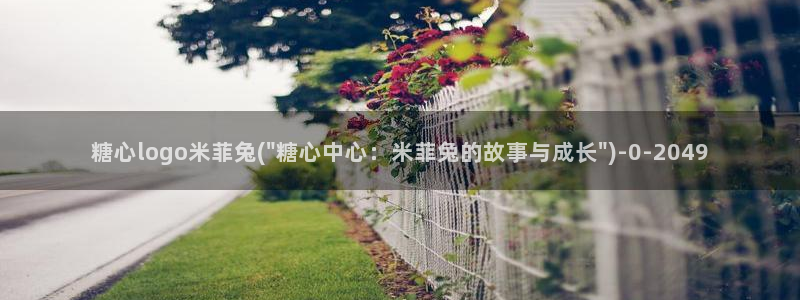糖心vlog女主