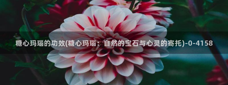 糖心vlog免费观看网站