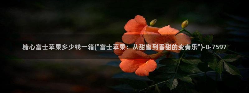 心糖vlog在线免费观看
