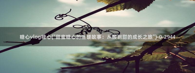 糖心少女vlog孤独的生日