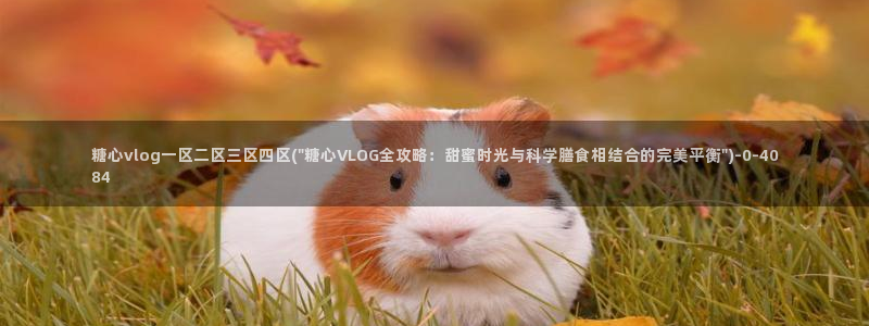 糖心vlog视频在线播放：糖心vlog一区二区三区四区(\