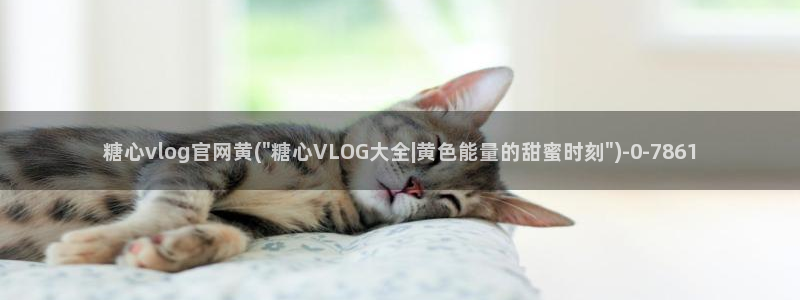 糖心vlog入口网站：糖心vlog官网黄(\