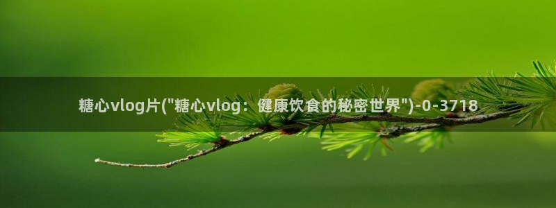 九一糖心vlog：糖心vlog片(\