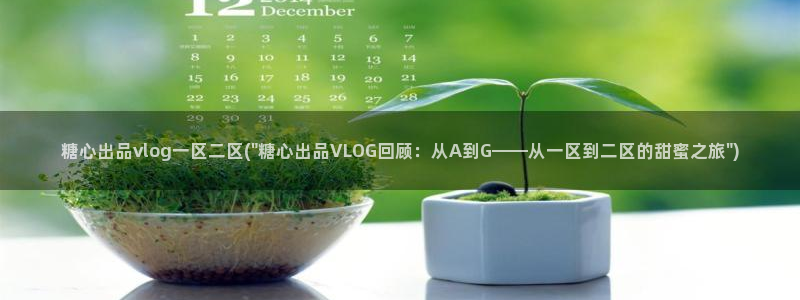 糖心vlog传媒作品