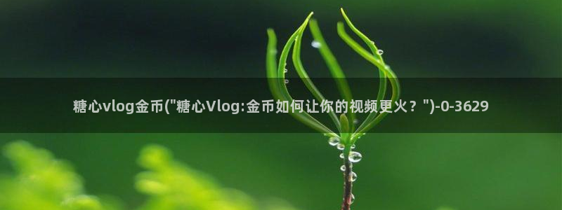 糖心vlog付费