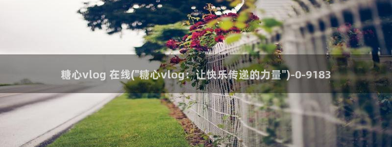 糖心vlog网址下载